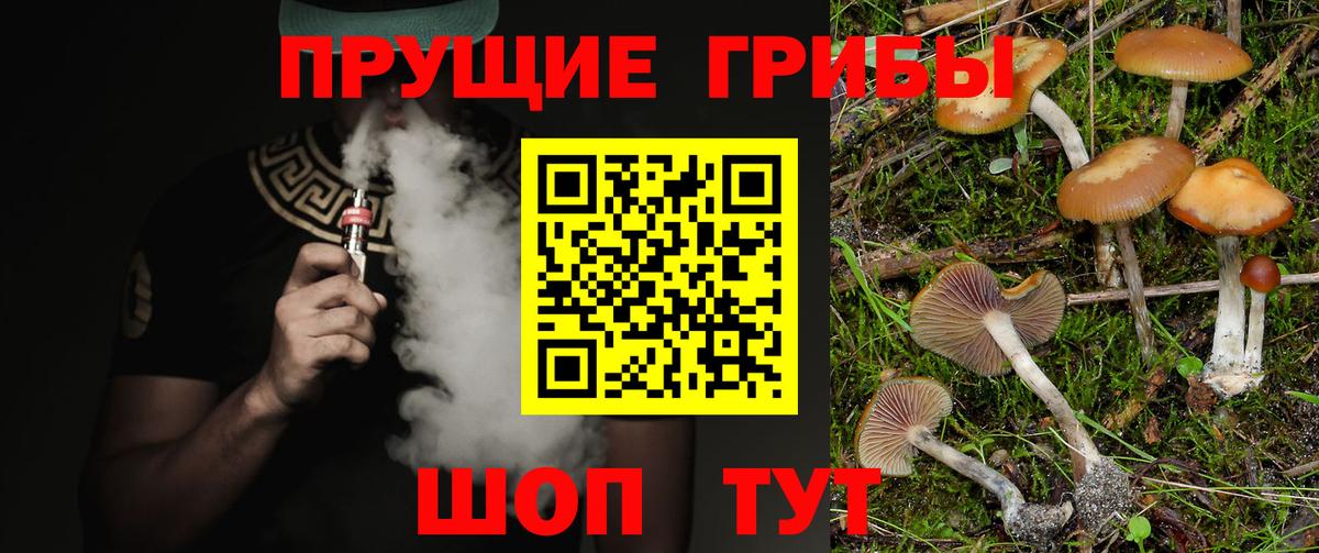 наркота  Галлюциногенные грибы мухоморы  Вход с VPN  Псилоцибиновые грибы ЛСД  Калуга 